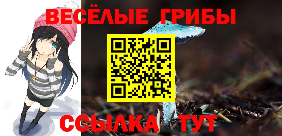 Галлюциногенные грибы мицелий  Псилоцибиновые грибы MAGIC MUSHROOMS  Вход с VPN  Апрелевка 